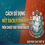 Cách sử dụng nút back/forward trên chuột usb trong MacOS