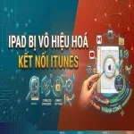 iPad bị vô hiệu hoá kết nối iTunes: Nguyên nhân và cách mở khóa hiệu quả nhất