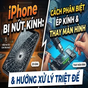 iPhone bị nứt kính: Cách phân biệt ép kính, thay màn hình & Hướng xử lý triệt để