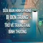 Sửa màn hình iPhone bị đen trắng trở về trạng thái bình thường