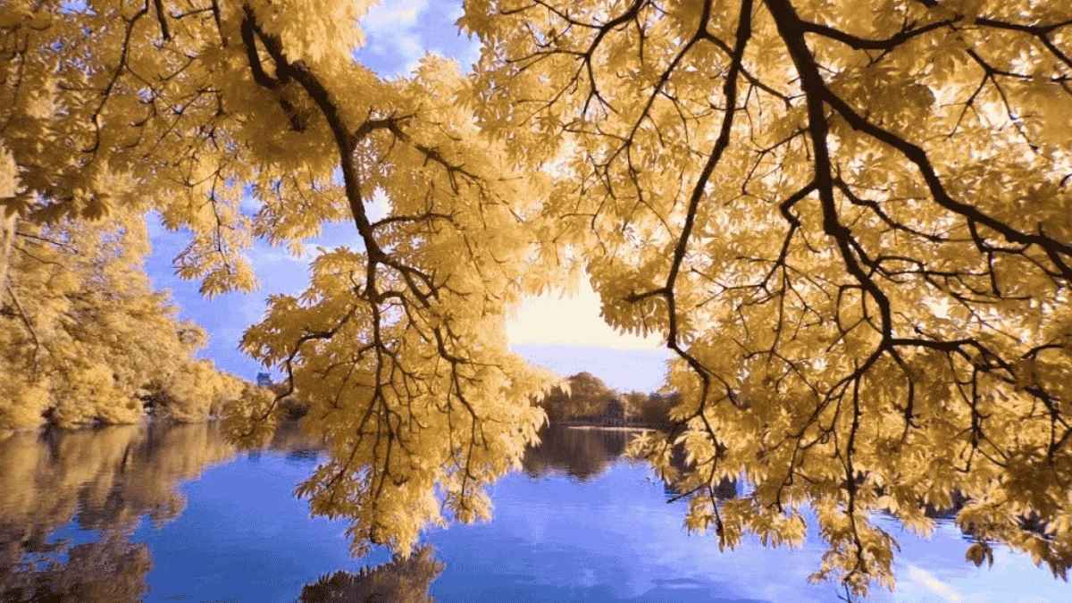 Ảnh bìa phong cảnh Zalo 27