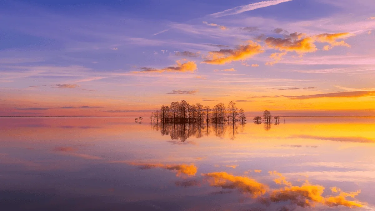 Ảnh bìa phong cảnh Zalo 28