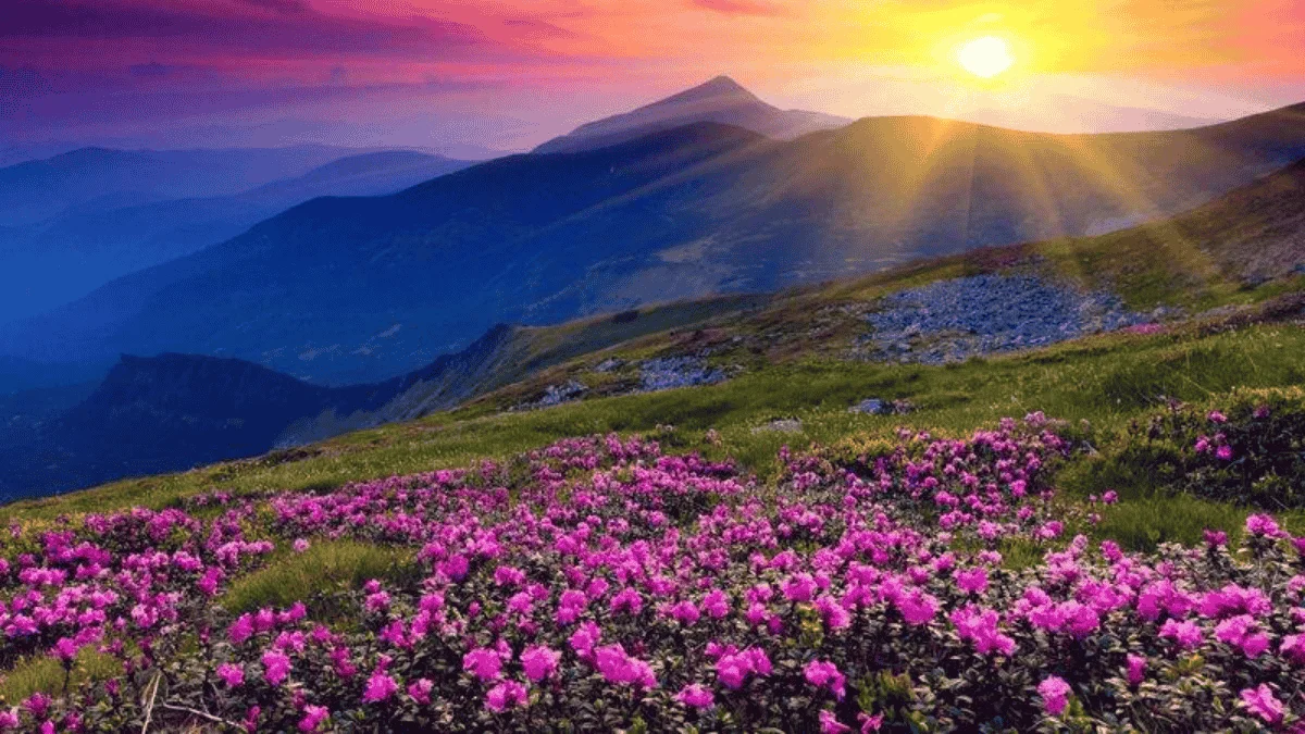 Ảnh bìa phong cảnh Zalo 29