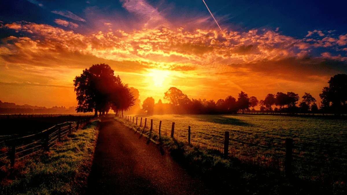 Ảnh bìa phong cảnh Zalo 37