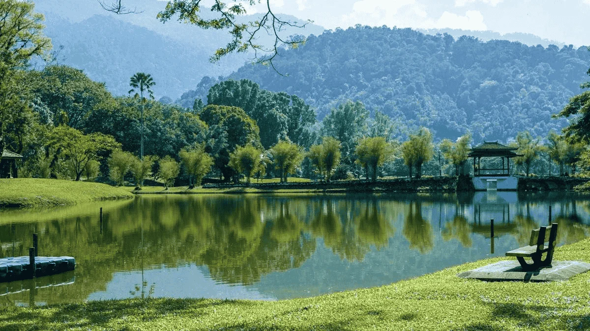 Ảnh bìa phong cảnh Zalo 45