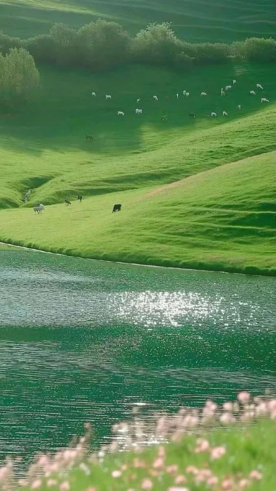 Ảnh nền thiên nhiên dành cho điện thoại 9