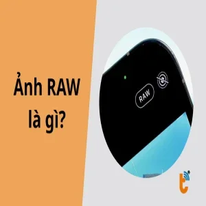 Ảnh RAW là gì? Tại sao nên chụp ảnh RAW trên điện thoại?