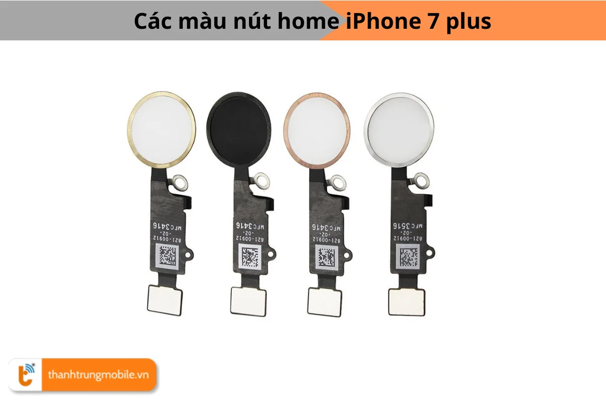 Các màu nút home iPhone 7 plus