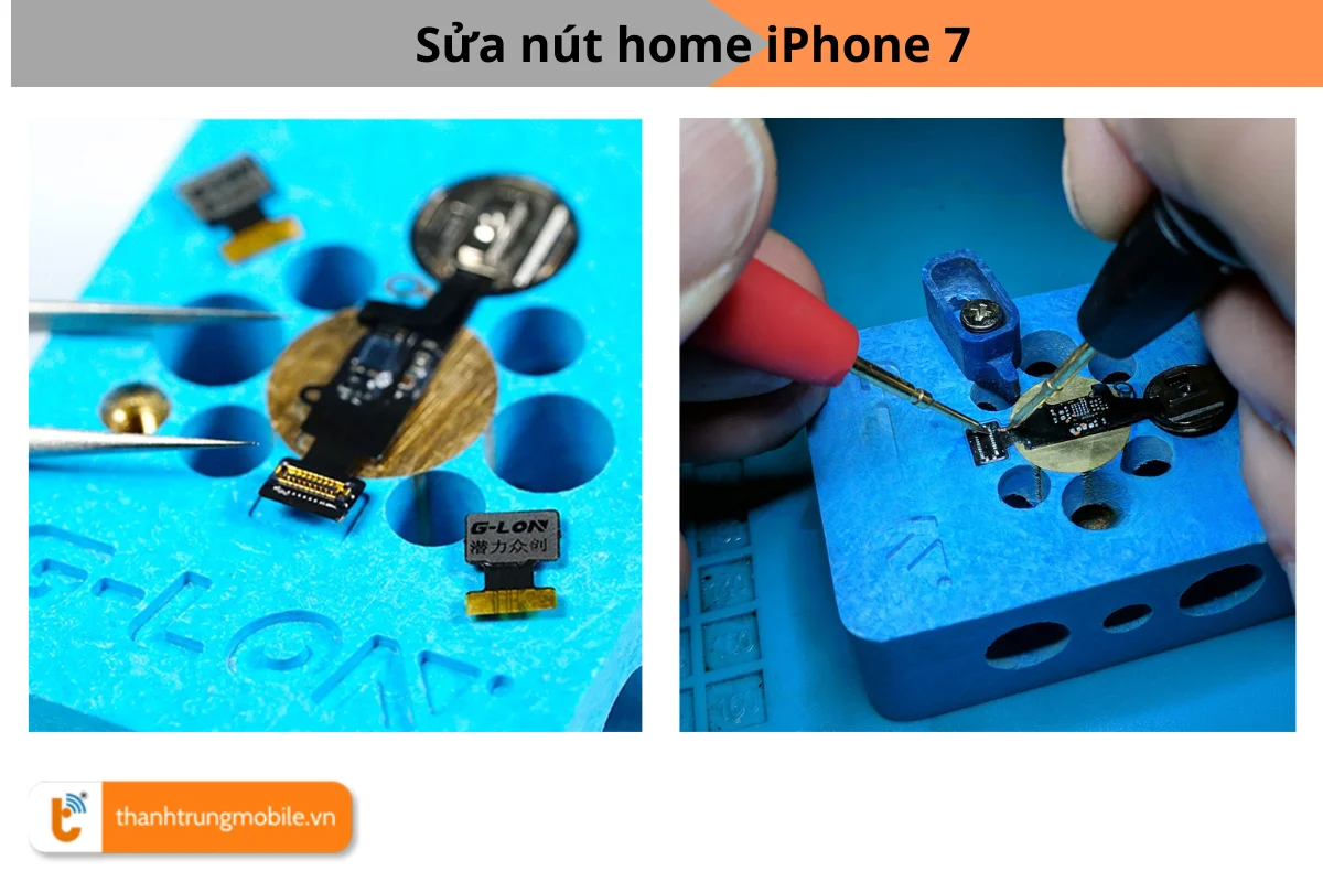 Sửa nút home iPhone 7
