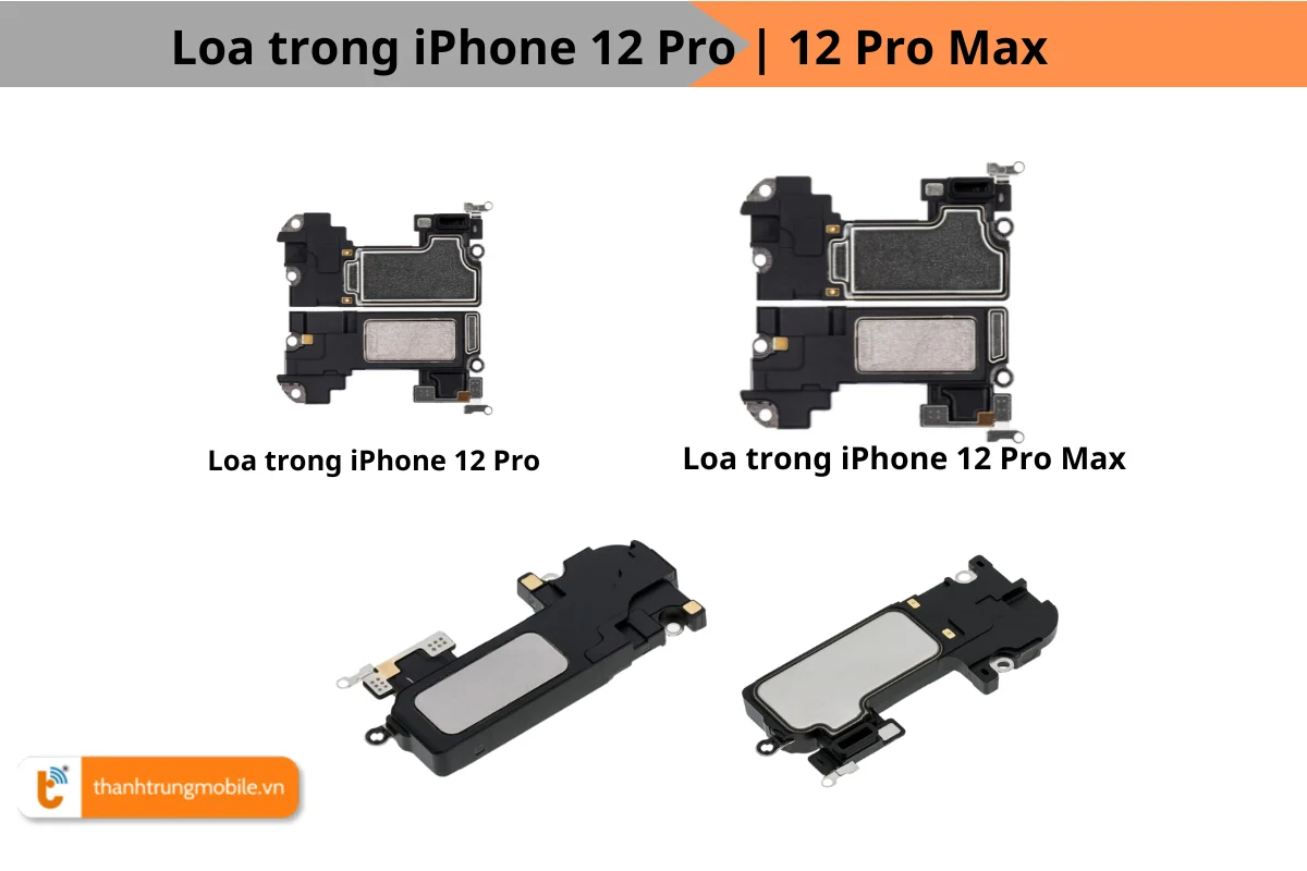 Thay loa trong iPhone 12 Pro giá bao nhiêu