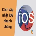 Hướng dẫn 2 cách cập nhật iOS nhanh chóng và đơn giản nhất