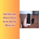 Cách khắc phục iPhone 8 Plus bị đơ sau cập nhật iOS không cần kĩ thuật