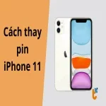 Hướng dẫn thay pin iPhone 11 tại nhà chi tiết cho người mới