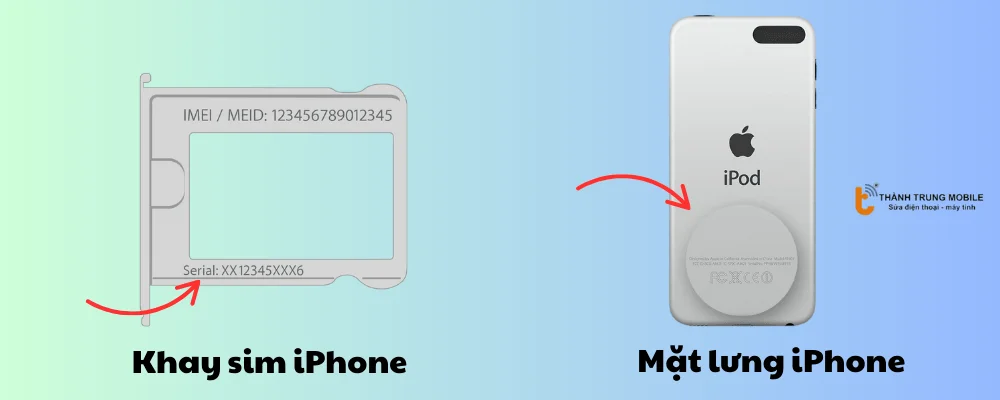 Check số seri trên khay SIM hoặc mặt sau thiết bị