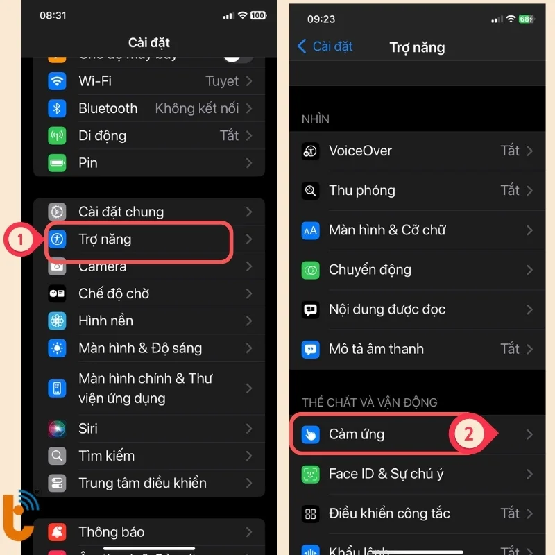 chon-tro-nang-chon-cam-ung