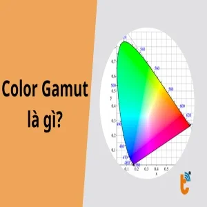 Color gamut là gì? Hiểu đúng để chọn màn hình chuẩn màu nhất