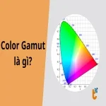 Color gamut là gì? Hiểu đúng để chọn màn hình chuẩn màu nhất