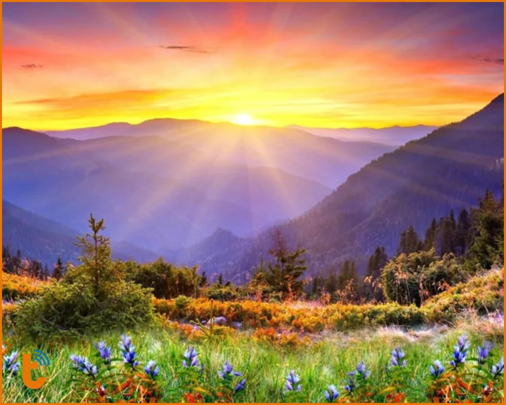 Độ phân giải càng cao ảnh càng siêu nét siêu đẹp