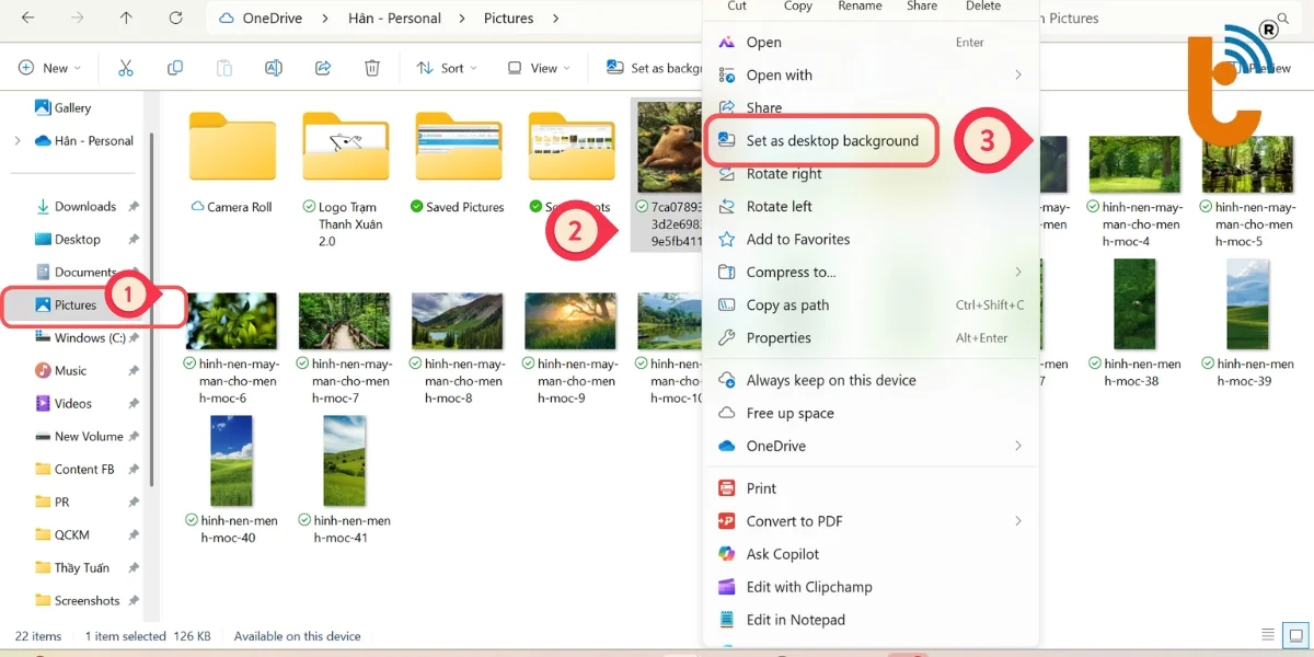 doi-hinh-nen-tu-thu-vien-win-11