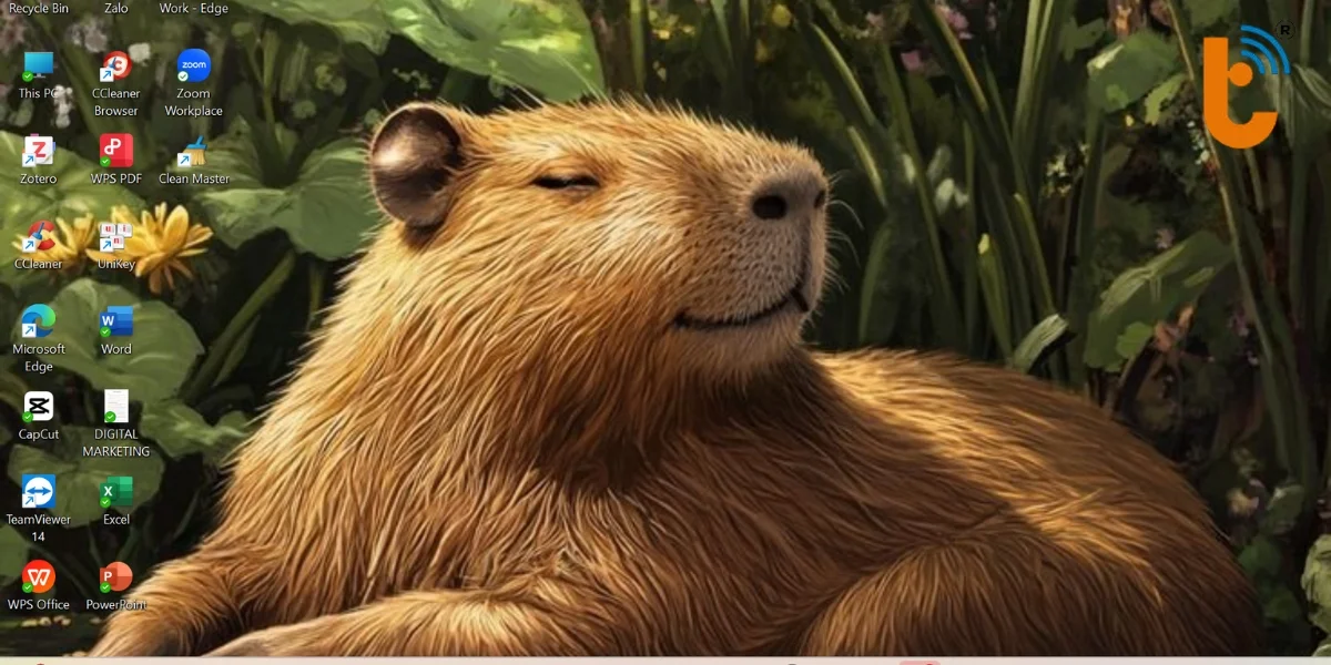 doi-hinh-nen-tu-thu-vien-win11