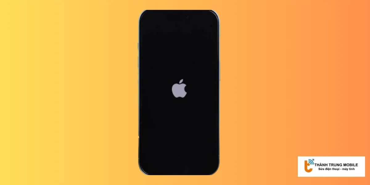 Tiếp tục giữ nút nguồn và chỉ nhả ra khi thấy logo Apple