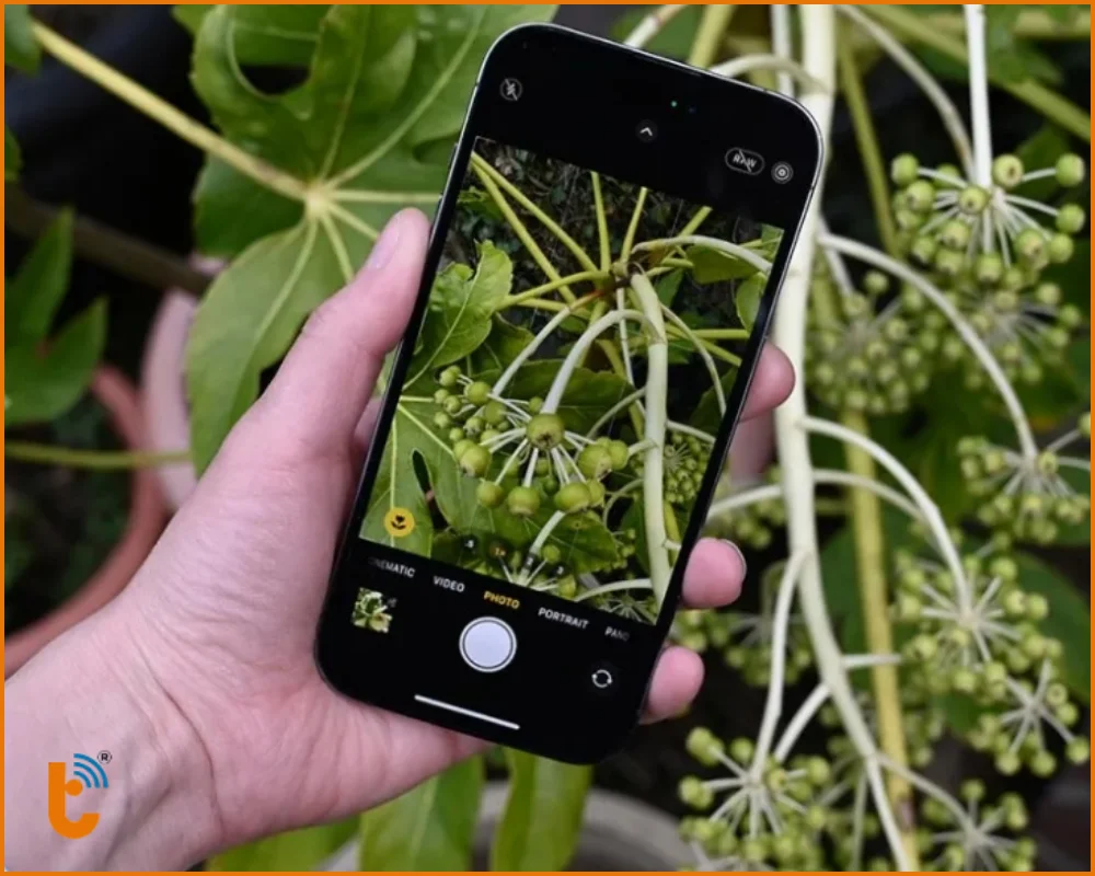 Hãy kiên nhẫn khi chụp Macro