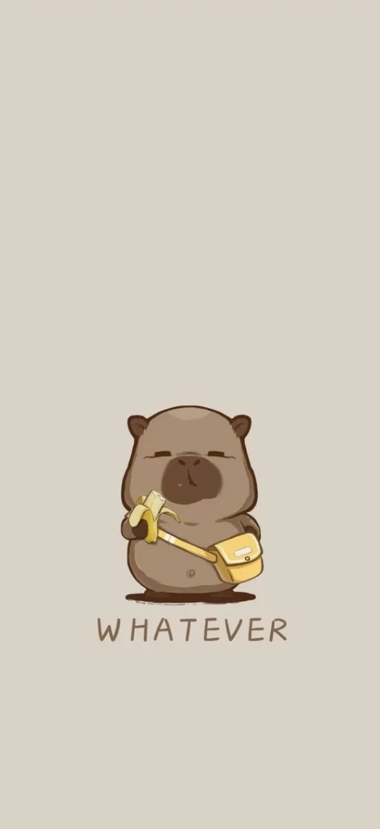Hinh-capybara-chibi (9)
