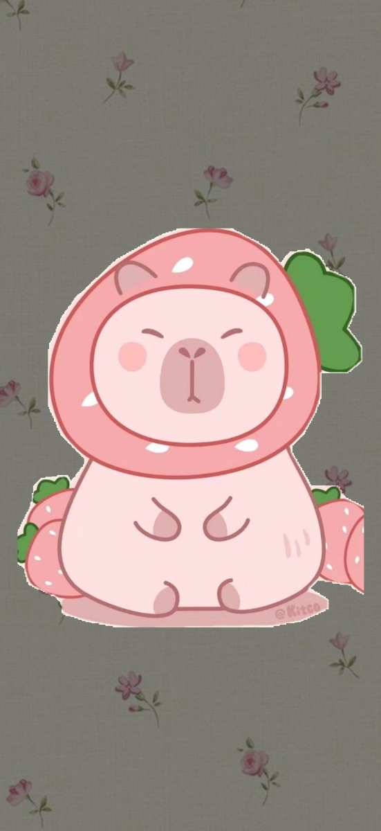 Hinh-capybara-hong (2)