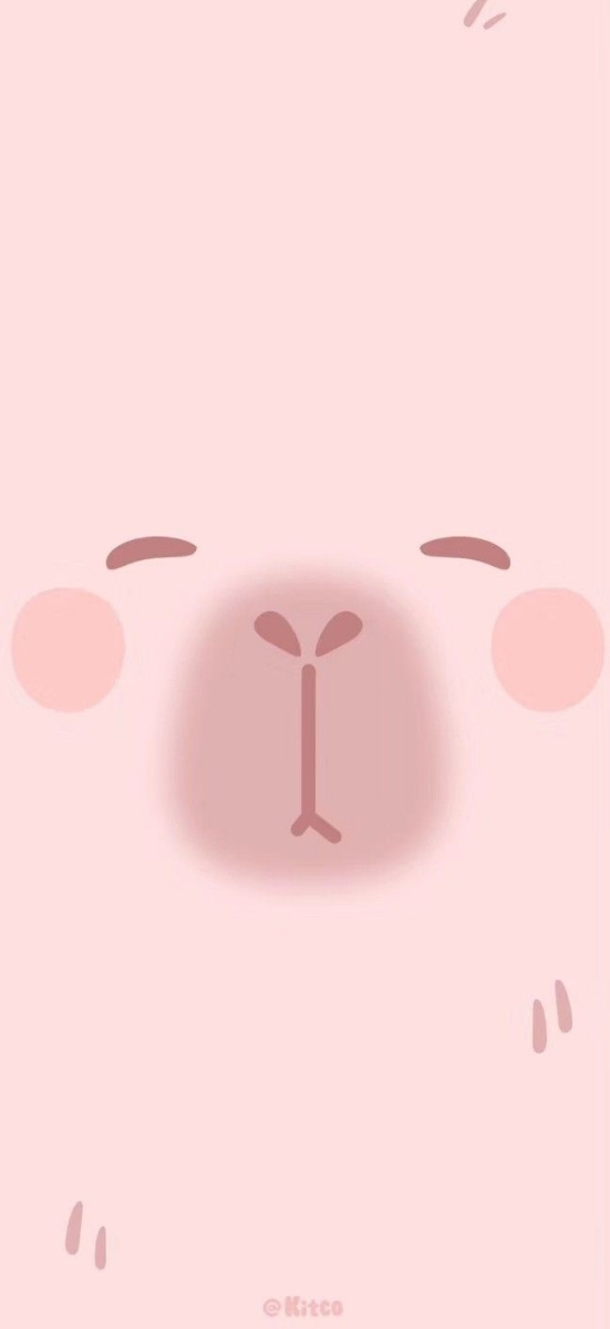 Hinh-capybara-hong (6)