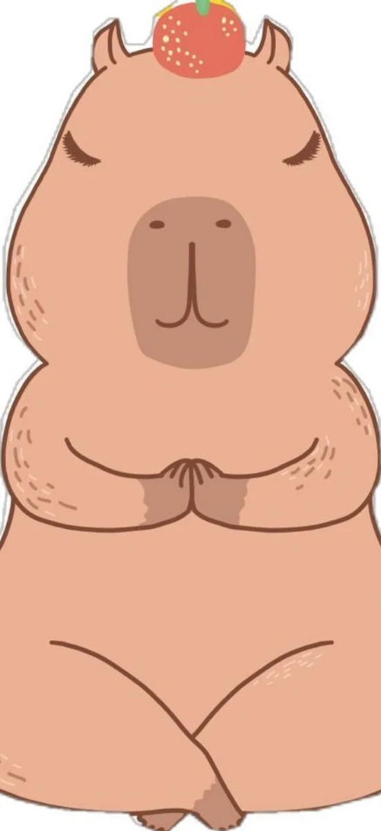 Hinh-capybara-tinh-tam (4)