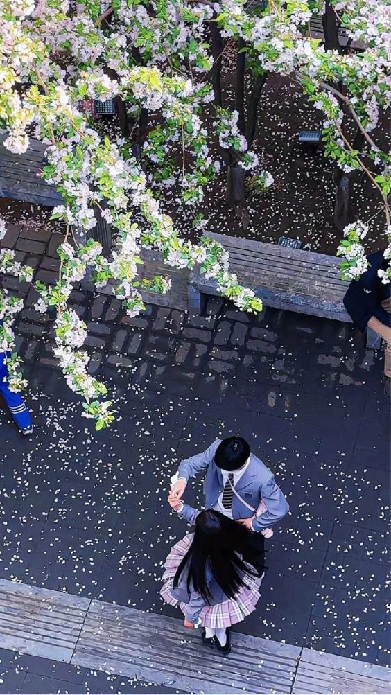 Hinh-duong-pho-chill (11)