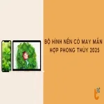 Tải ngay bộ hình nền cỏ may mắn đẹp, hợp phong thủy 2025