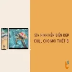 Top 50+ hình nền biển đẹp chill phù hợp cho mọi thiết bị