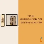 50+ Hình nền Capybara cute cho điện thoại và máy tính
