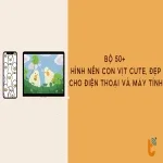 Bộ 50+ hình nền con vịt cute, đẹp cho điện thoại và máy tính