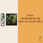 Top 50+ hình nền rồng đẹp, hợp phong thủy cho mọi thiết bị
