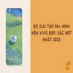 Bộ sưu tập 50+ hình nền vivo đẹp, sắc nét nhất 2025