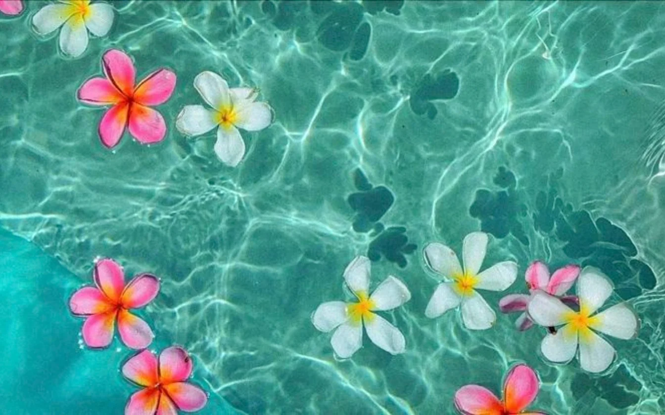 hinh-nen-bien-dep-chill-cho-may-tinh (3)