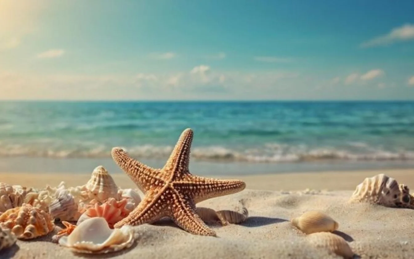 hinh-nen-bien-dep-chill-cho-may-tinh (5)