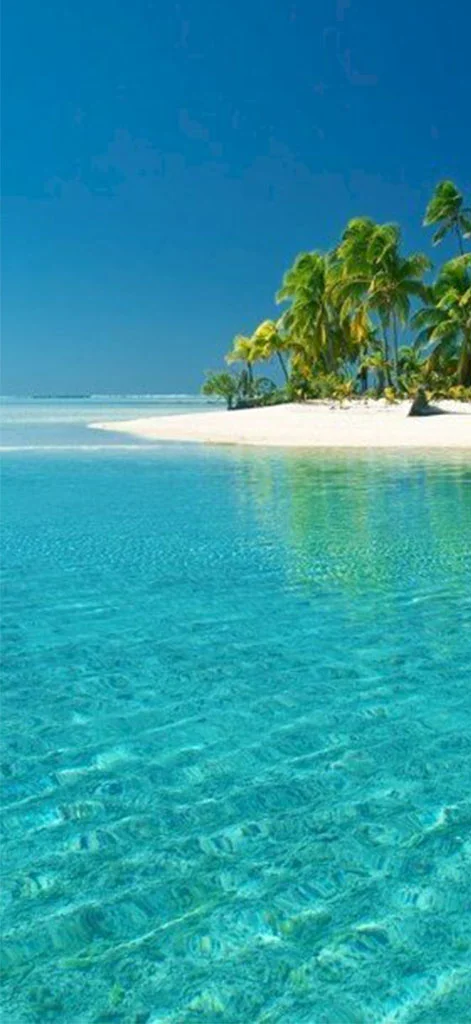 Hình nền biển xanh trong lành 8