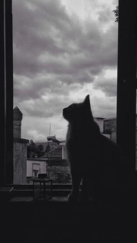 hinh-nen-buon-tam-trang-cho-dien-thoai (18)