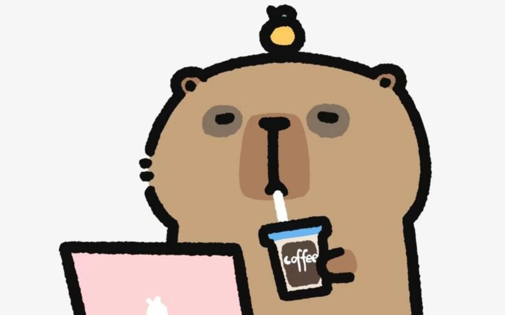 hinh-nen-capybara-vo-tri-cho-may-tinh (8)