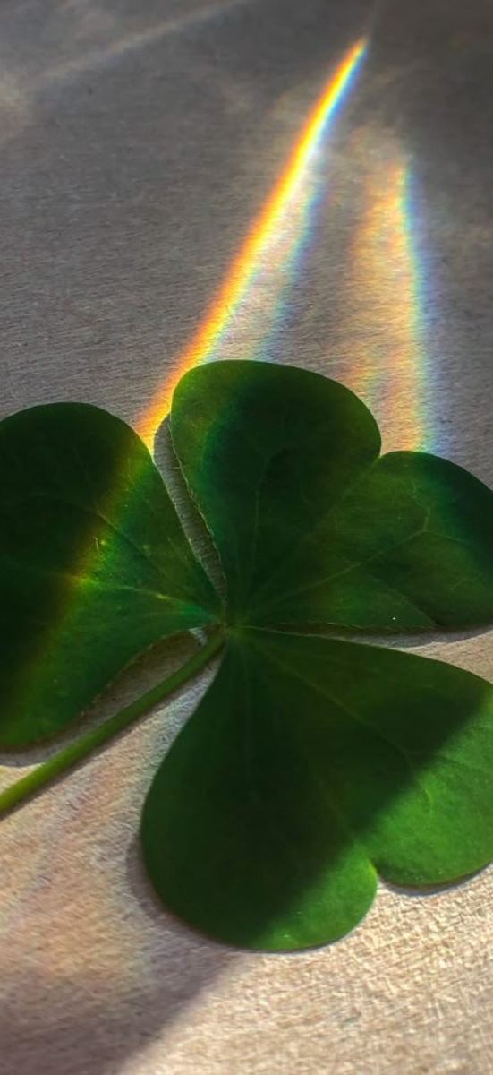 hinh-nen-co-4-la-may-man-16