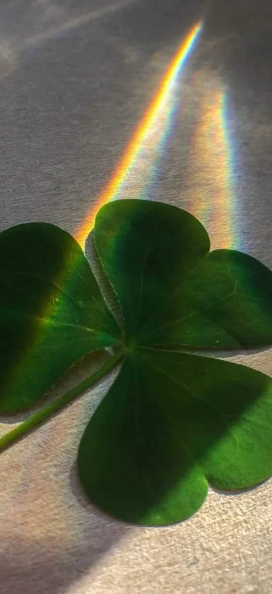 hinh-nen-co-4-la-may-man-16