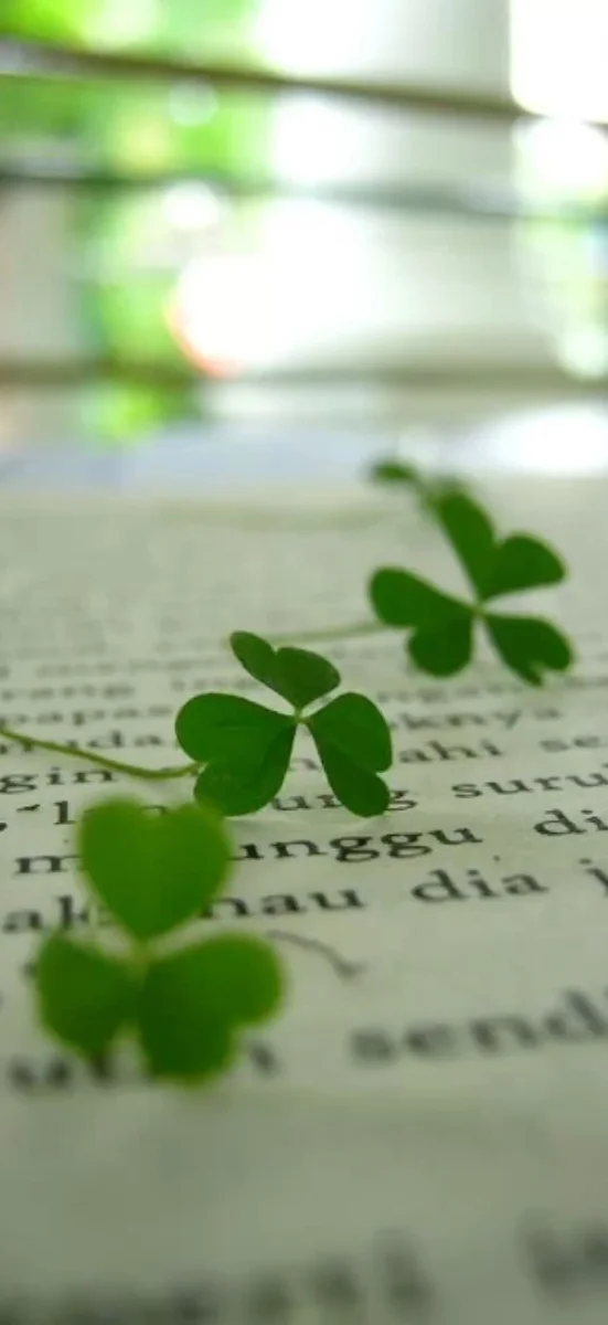 hinh-nen-co-4-la-may-man-21