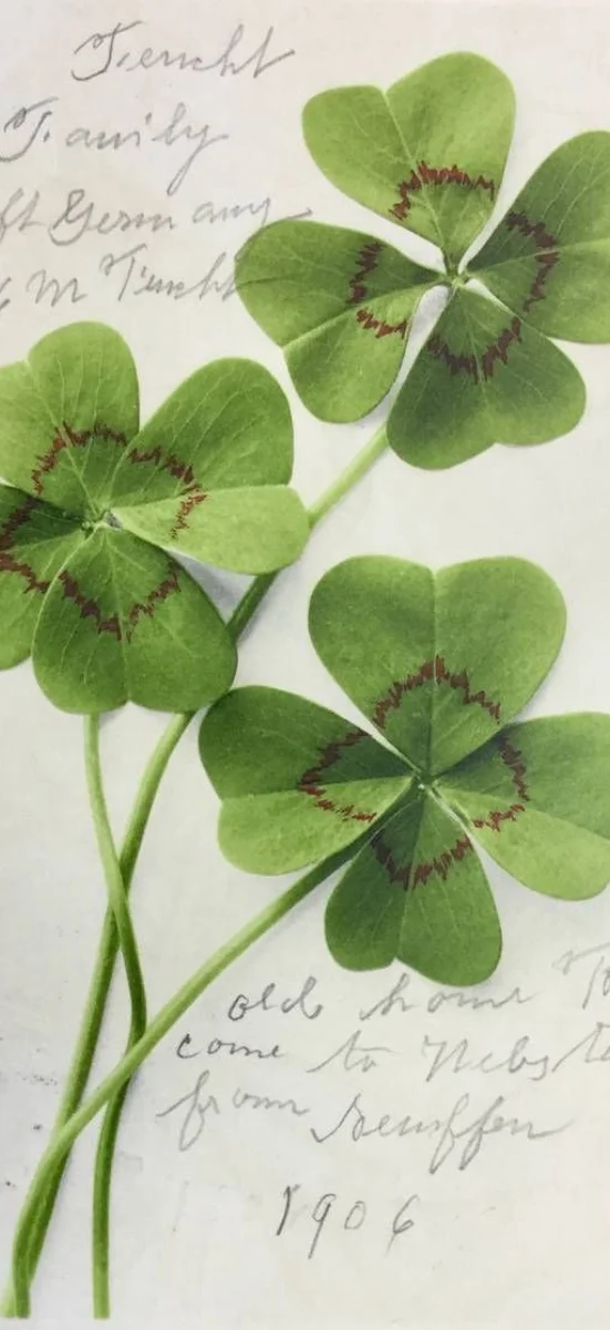 hinh-nen-co-4-la-may-man-9