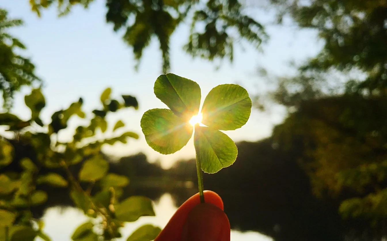 hinh-nen-co-may-man-hoc-tap-10