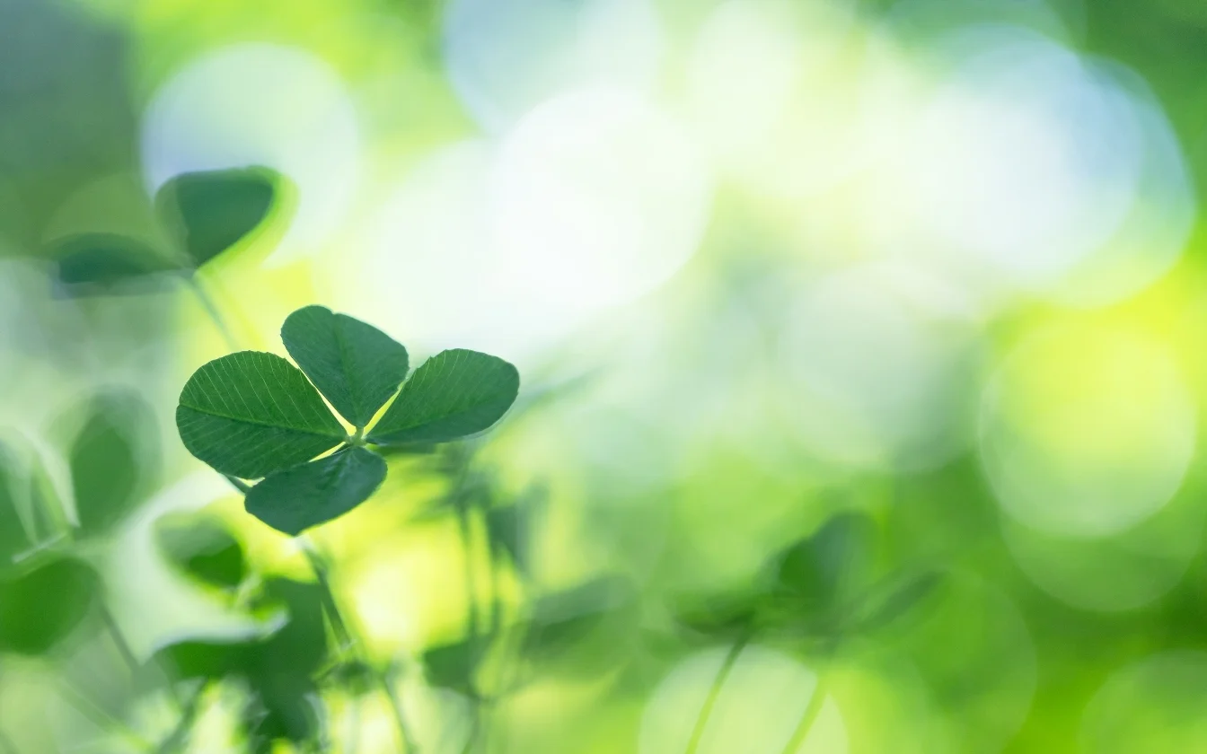 hinh-nen-co-may-man-hoc-tap-3