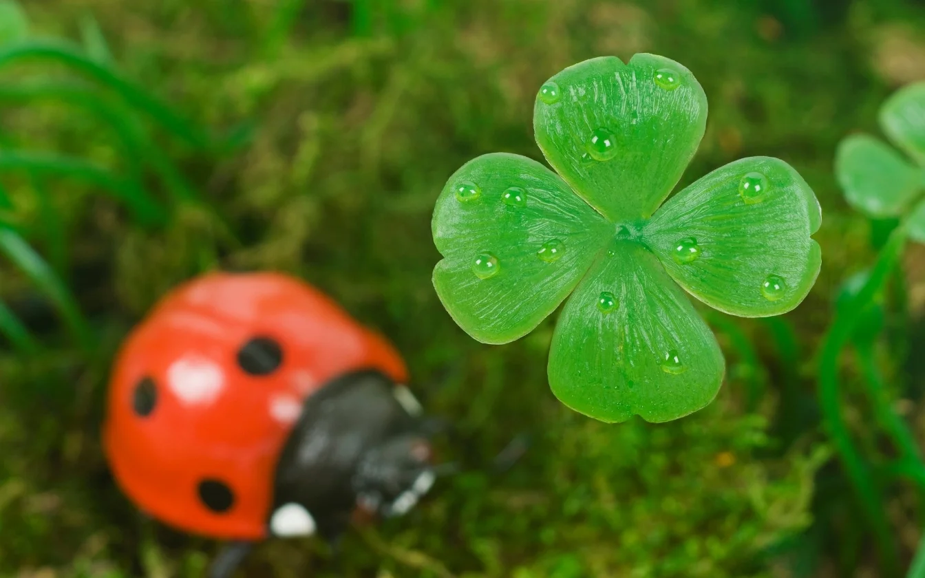 hinh-nen-co-may-man-hoc-tap-6