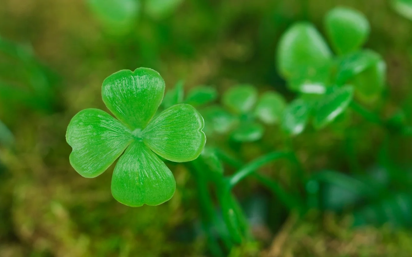 hinh-nen-co-may-man-hoc-tap-7